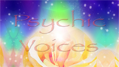 Psychic Voices on Dedham Television.